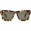 Gloss Spotted Tort