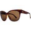Gloss Tortoise