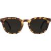 Tort Black / Grey Polarized