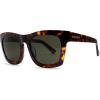Tortoise / Grey Polarized