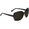 Darkside Tort / Grey Polarized