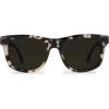 Galaxy / Grey Polarized
