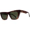 Tortoise / Grey Polarized