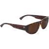 Gloss Tort / Bronze Polarized